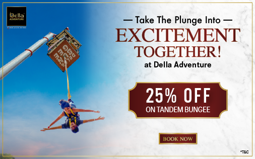 Get 25% discount on Tandem Bungee Pass